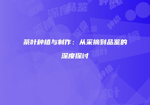 茶叶种植与制作：从采摘到品鉴的深度探讨