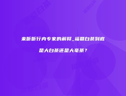 来听听行内专家的解释_福鼎白茶到底是大白茶还是大毫茶？