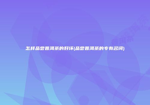 怎样品尝普洱茶的好坏(品尝普洱茶的专有名词)