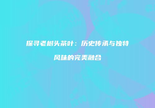 探寻老树头茶叶：历史传承与独特风味的完美融合