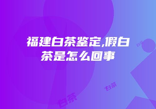 福建白茶鉴定,假白茶是怎么回事