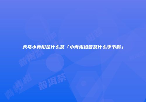 天马小青柑是什么茶「小青柑柑普茶什么季节喝」
