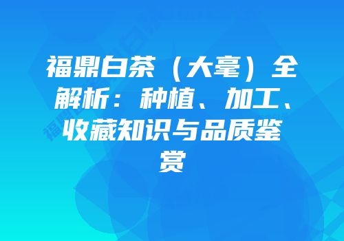 福鼎白茶（大毫）全解析：种植、加工、收藏知识与品质鉴赏