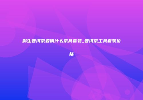 喝生普洱茶要用什么茶具套装_普洱茶工具套装价格