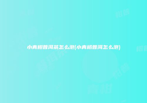 小青柑普洱茶怎么泡(小青橘普洱怎么泡)