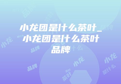 小龙团是什么茶叶_小龙团是什么茶叶品牌