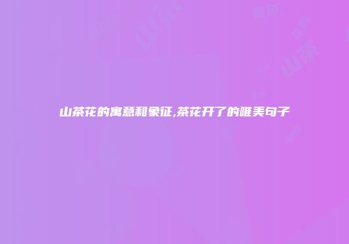 山茶花的寓意和象征,茶花开了的唯美句子