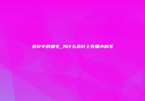 茶叶中的细毛_为什么茶叶上有细小的毛