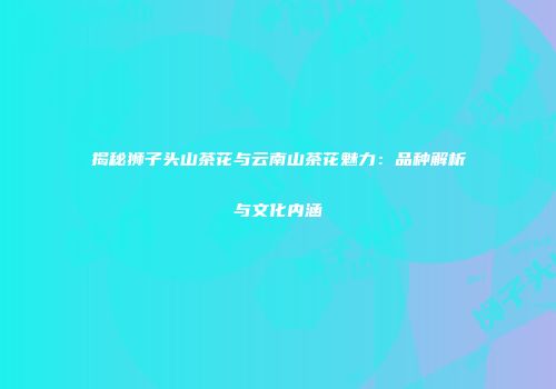揭秘狮子头山茶花与云南山茶花魅力：品种解析与文化内涵