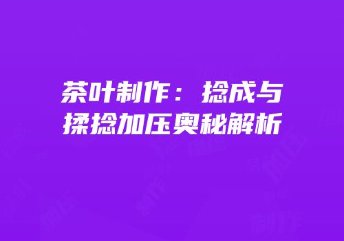 茶叶制作：捻成与揉捻加压奥秘解析