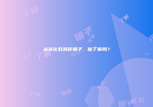 从茶化石到碎银子，你了解吗？