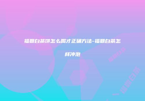 福鼎白茶饼怎么喝才正确方法-福鼎白茶怎样冲泡
