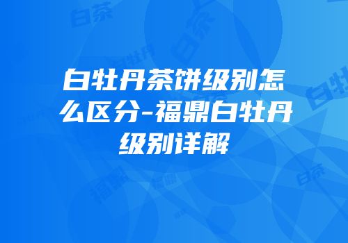 白牡丹茶饼级别怎么区分-福鼎白牡丹级别详解