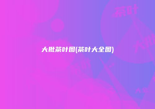 大批茶叶图(茶叶大全图)