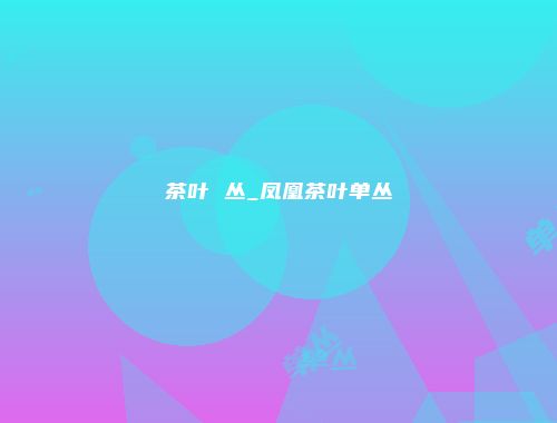 茶叶 丛_凤凰茶叶单丛