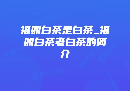 福鼎白茶是白茶_福鼎白茶老白茶的简介