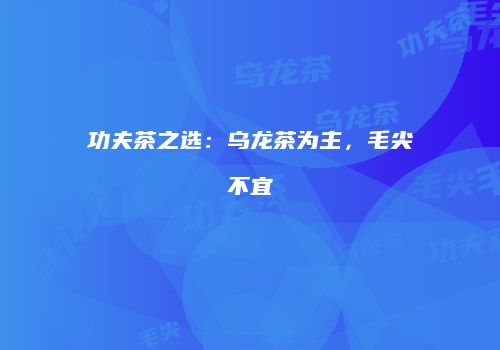 功夫茶之选：乌龙茶为主，毛尖不宜