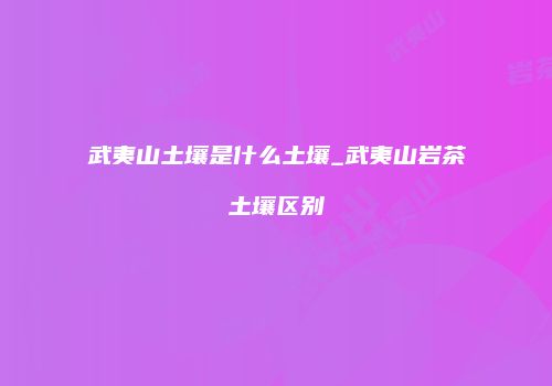 武夷山土壤是什么土壤_武夷山岩茶土壤区别