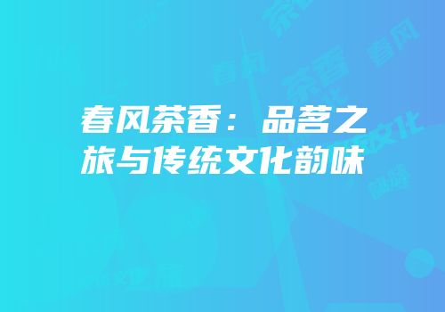 春风茶香：品茗之旅与传统文化韵味