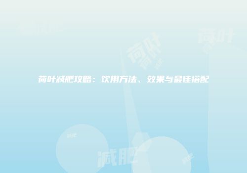 荷叶减肥攻略：饮用方法、效果与最佳搭配