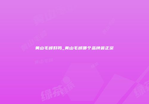 黄山毛峰好吗_黄山毛峰哪个品牌最正宗