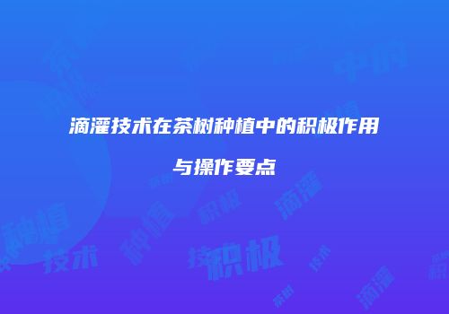 滴灌技术在茶树种植中的积极作用与操作要点