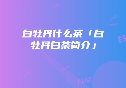 白牡丹什么茶「白牡丹白茶简介」