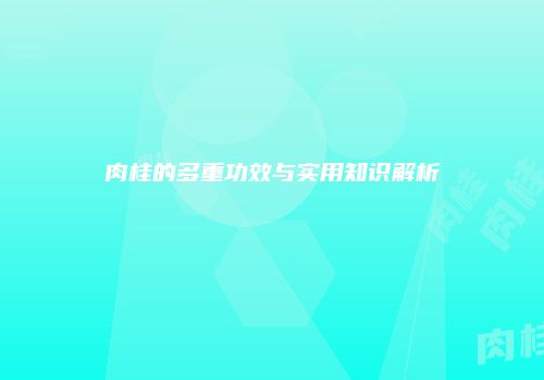 肉桂的多重功效与实用知识解析