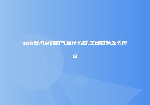 云南普洱茶的香气是什么香,生普香味怎么形容