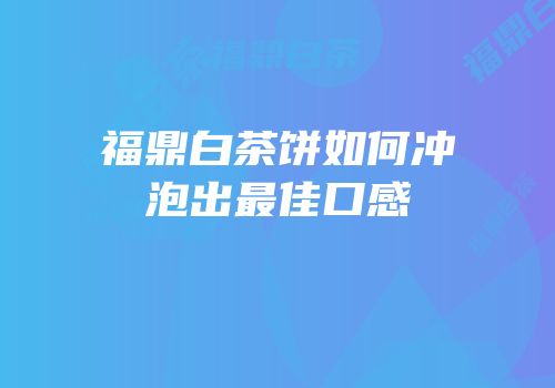 福鼎白茶饼如何冲泡出最佳口感