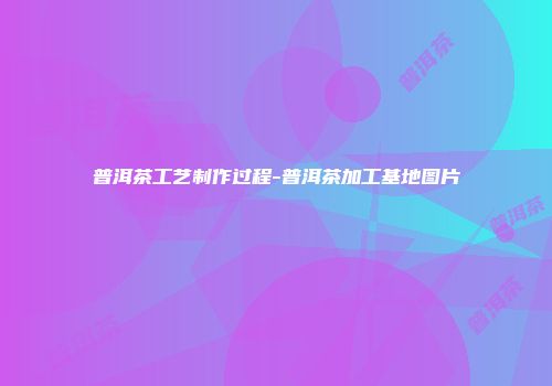 普洱茶工艺制作过程-普洱茶加工基地图片