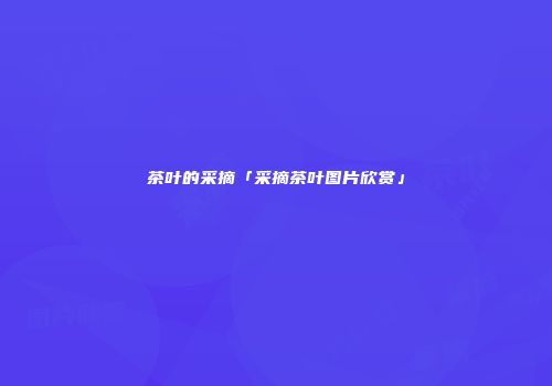 茶叶的采摘「采摘茶叶图片欣赏」