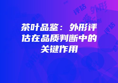 茶叶品鉴：外形评估在品质判断中的关键作用