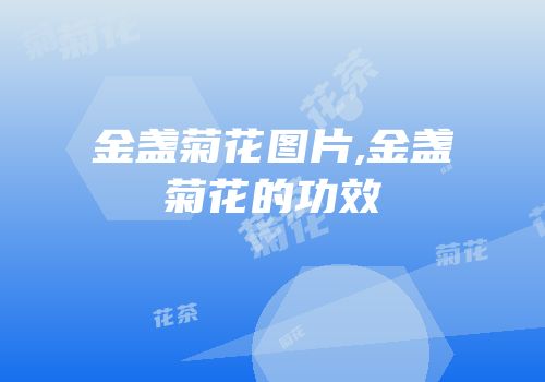 金盏菊花图片,金盏菊花的功效
