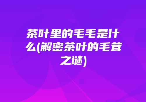 茶叶里的毛毛是什么(解密茶叶的毛茸之谜)