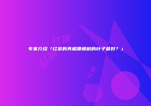 专家介绍「红茶的真相哪棵树的叶子最好？」