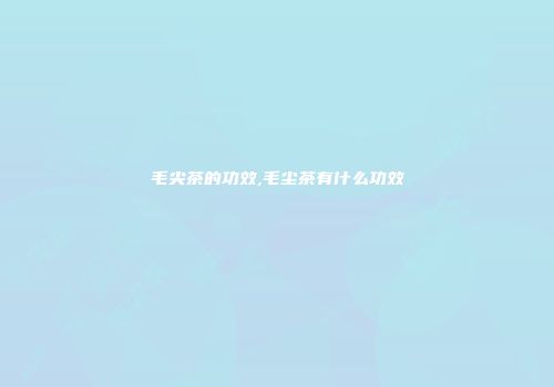 毛尖茶的功效,毛尘茶有什么功效