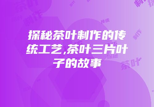 探秘茶叶制作的传统工艺,茶叶三片叶子的故事