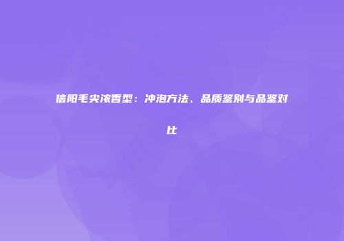 信阳毛尖浓香型：冲泡方法、品质鉴别与品鉴对比