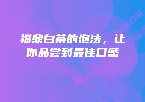 福鼎白茶的泡法，让你品尝到最佳口感