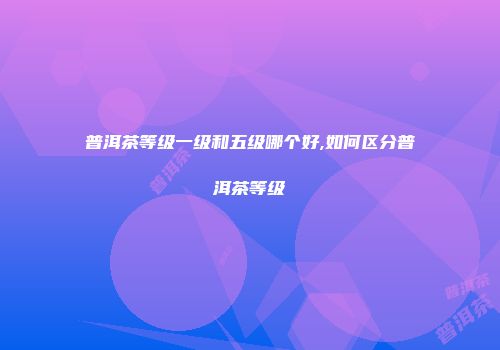 普洱茶等级一级和五级哪个好,如何区分普洱茶等级