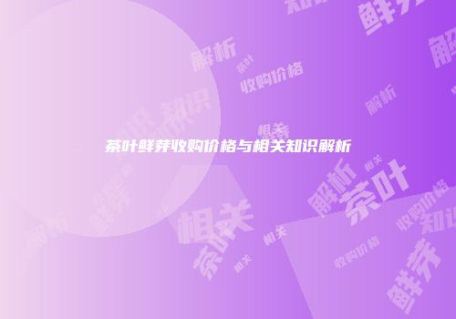 茶叶鲜芽收购价格与相关知识解析