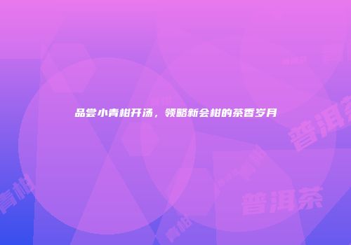 品尝小青柑开汤，领略新会柑的茶香岁月