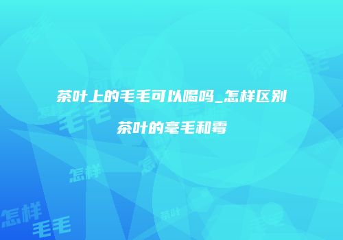 茶叶上的毛毛可以喝吗_怎样区别茶叶的毫毛和霉