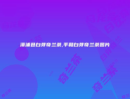 漳浦县白芽奇兰茶,平和白芽奇兰茶图片