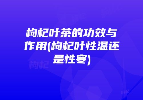 枸杞叶茶的功效与作用(枸杞叶性温还是性寒)