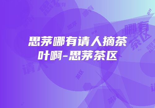 思茅哪有请人摘茶叶啊-思茅茶区