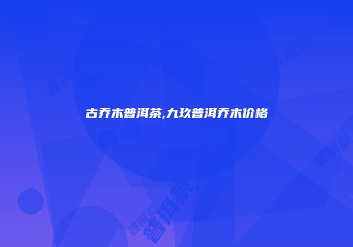 古乔木普洱茶,九玖普洱乔木价格