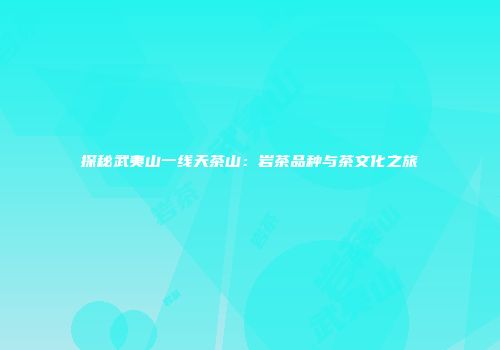 探秘武夷山一线天茶山：岩茶品种与茶文化之旅