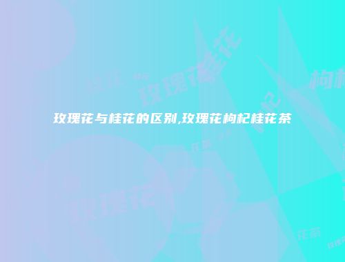 玫瑰花与桂花的区别,玫瑰花枸杞桂花茶